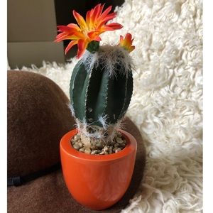 New Faux Cactus w/ Sprouting Flowers & Orange Pot